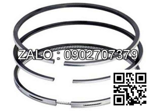 Bạc xéc măng động cơ FPT Série N67 , , CM3