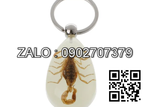 Móc Khóa Côn Trùng