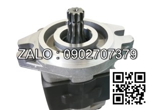 Bơm Thủy Lực SGP1A31.9-R005-B , SGP1A31.9-R005-B