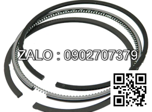 Bạc xéc măng động cơ LISTER PETER TS3 , 3 CYL , CM3