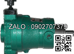 Bơm Piston160SCY14-1B