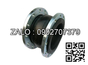 Khớp nối mềm - ARV Malaysia DN25