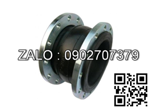 Khớp nối mềm - ARV Malaysia DN8