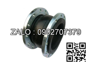 Khớp nối mềm mặt bích DN1/4