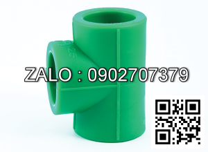 Tê (Tee) đều PPR D75