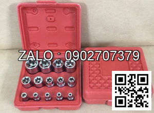 Bộ khẩu E 14 chi tiết