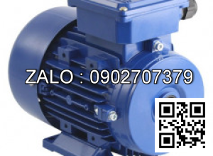 ĐỘNG CƠ ĐIỆN MARELLIMOTORI BAA 315 SM4 110KW