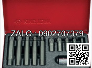 Bộ vít đóng 11 chi tiết