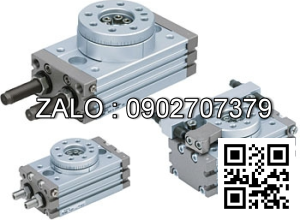 Xi lanh xoay TPC NRT30-W8HL-T