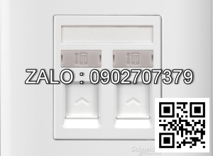 Bộ 2 ổ cắm điện thoại Clipsal / Schneider E8432RJS4_G19