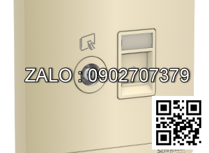 Ổ cắm mạng Clipsal / Schneider E8332TVRJS5_WG_G19