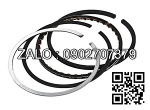 Bạc xéc măng động cơ NANNI Z6-300 , 6 , CM3