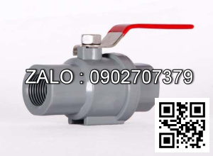 Van khóa nước nhựa răng trong RT tay gạt Inox màu xanh 200