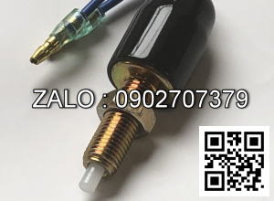 Công tắc đèn thắng TCM