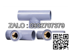 Tê nhựa giảm T RN/RT 42/34