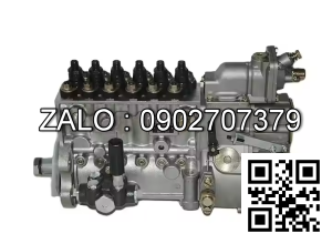 Heo dầu động cơ DAF WS 295 M , 6 CYL , 11600 CM3