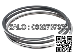 Bạc xéc măng động cơ PERKINS 1606D.E93TAG4 , 6 CYL , CM3