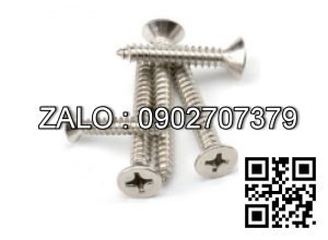 Vít bake đầu cầu thân bu lông inox 304 M1.2x4