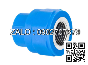 Nối nhựa giảm MS RN/RT 60/49 Tiền Phong