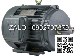 Motor điện 1 pha 1.1KW - 1.5HP 2 cực điện