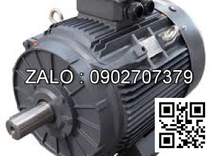 Motor điện 3 pha 3.7KW - 5HP 2 cực điện