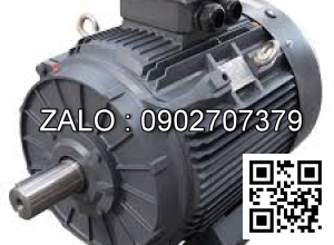 Motor điện 3 pha 280KW - 380HP 2 cực điện