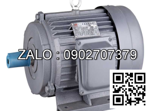 Motor điện 3 pha 90KW - 120HP 4 cực điện