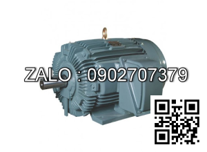 Motor điện 4 dây 160kW - 220HP