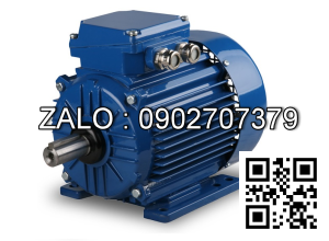 Motor điện 2.2kW - 3HP 1400 vòng
