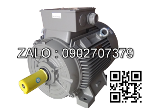 Động cơ điện Siemens 1LE1001-1AB52-2AA4 3 kW, 4 cực, chân đế