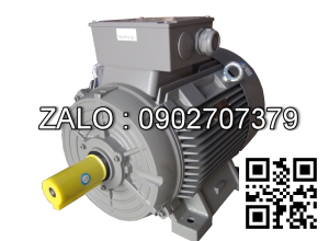 Động cơ điện SIEMENS 1LG4316-2AB64, 160 kW, 2 cực, mặt bích