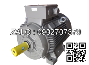 Động cơ điện SIEMENS 1LA7164-2AA61 2 cực