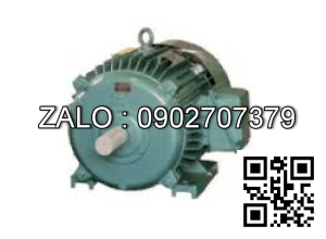 Động cơ 1000 VG/PH - Chân đế 1500 VG/PH - Chân đế 0,3kw - 1 pha - 1500 vg/ph CD