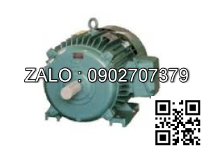 Động cơ 1000 VG/PH - Chân đế 750VG/PH - Chân đế 22kw - 3 pha - 750 vg/ph FM