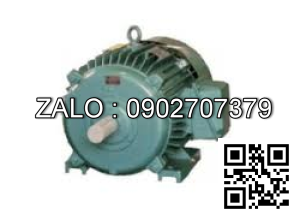 Động cơ 1000 VG/PH - Chân đế 1000 VG/PH - Chân đế 37kw - 3 pha - 1000 vg/ph FM