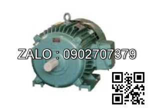 Động cơ 1000 VG/PH - Chân đế 1000 VG/PH - Chân đế 4.5kw - 3 pha - 1000 vg/ph CD