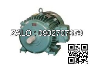 Động cơ 1000 VG/PH - Chân đế 1000 VG/PH - Chân đế 3kw - 3 pha - 1000 vg/ph CD