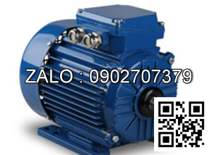 Động cơ 3000 VG/PH - Chân đế 0.125kw - 3 pha - 3000 vg/ph CD