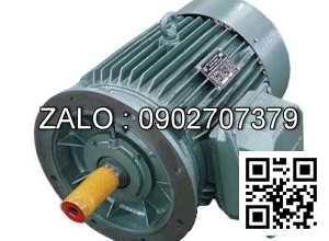 ĐỘNG CƠ 3 PHA - 1000 VG/PH - MẶT BÍCH 18.5kw - 3 pha - 1000 vg/ph MB