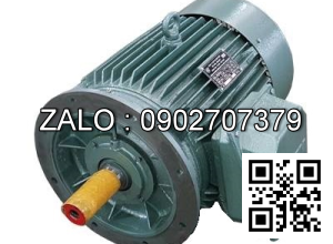 ĐỘNG CƠ 3 PHA - 1000 VG/PH - MẶT BÍCH 4.5kw - 3 pha - 1000 vg/ph MB