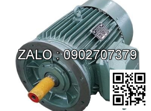 ĐỘNG CƠ 3 PHA - 1000 VG/PH - MẶT BÍCH 2.2kw - 3 pha - 1000 vg/ph MB