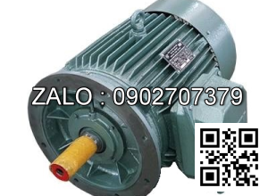 ĐỘNG CƠ 3 PHA - 1500 VG/PH - MẶT BÍCH 4.5kw - 3 pha - 1500 vg/ph MB