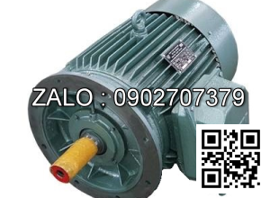 ĐỘNG CƠ 3 PHA - 3000 VG/PH - MẶT BÍCH 4kw - 3 pha - 3000 vg/ph MB