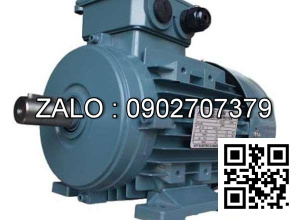 Motor chân đế 3 pha TransmaX 3kW (3000 RPM) 2 cực Vỏ nhôm