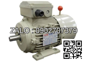 Motor mặt bích 3 pha TransmaX 220kW (1500 RPM) 4 cực Vỏ gang