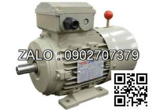 Motor mặt bích 3 pha TransmaX 315kW (3000 RPM) 2 cực Vỏ gang