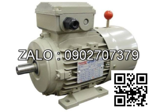 Motor mặt bích 3 pha TransmaX 0.37kW (3000 RPM) 2 cực Vỏ gang