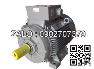 Động cơ điện Siemens 1LA7163-4AA10