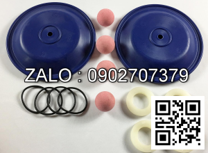 Bi bơm màng FTI FT10-P-PP-RRPR-F1