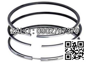 Bạc xéc măng động cơ VM MOTORI VMT 1056 SUT , 6 CYL , CM3